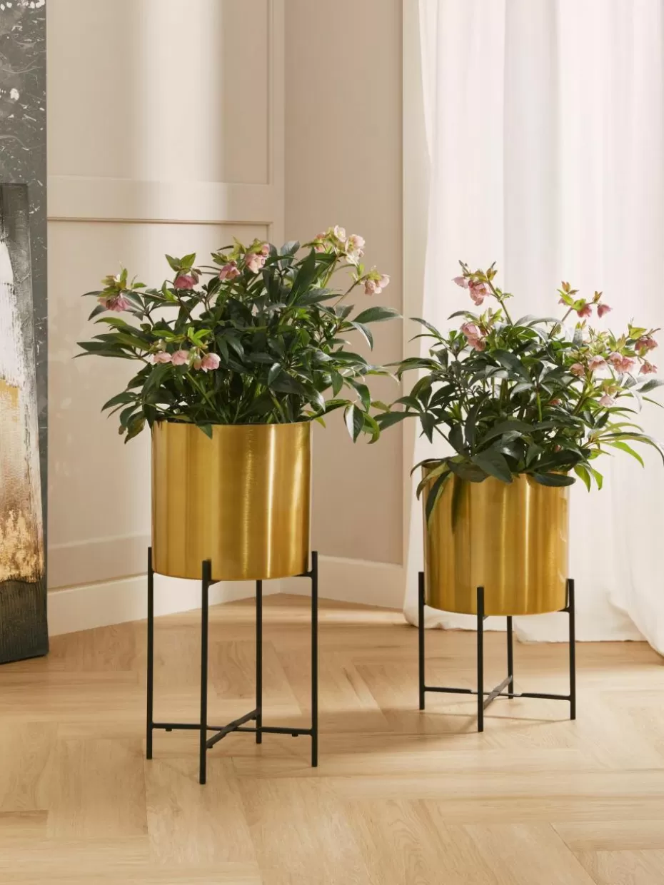 Blumentöpfe-Westwing Collection Übertöpfe Mina aus Metall, 2er-Set Goldfarben, Schwarz