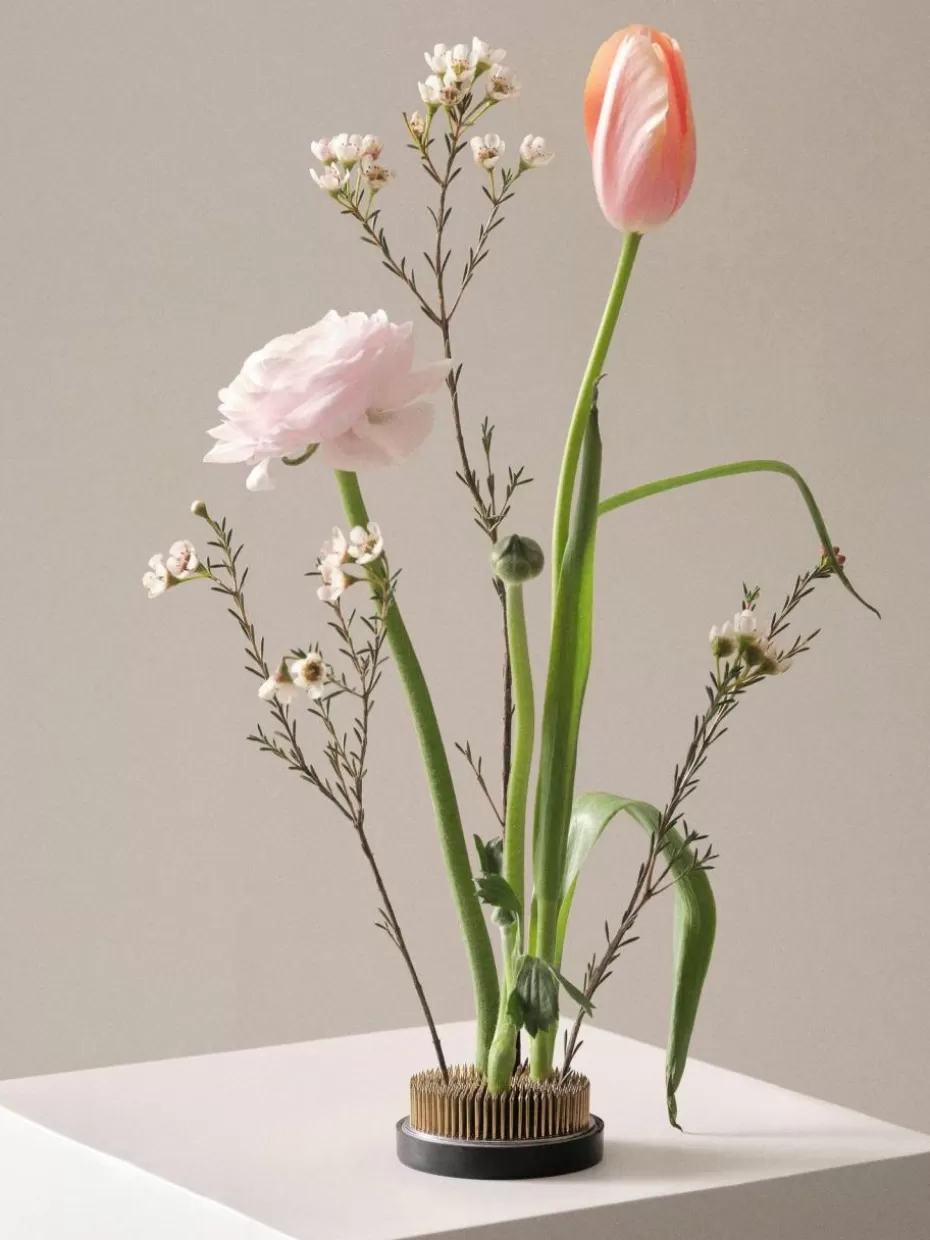 Blumentöpfe-Jotex Blumensteckigel Fiore, Ø 8 cm