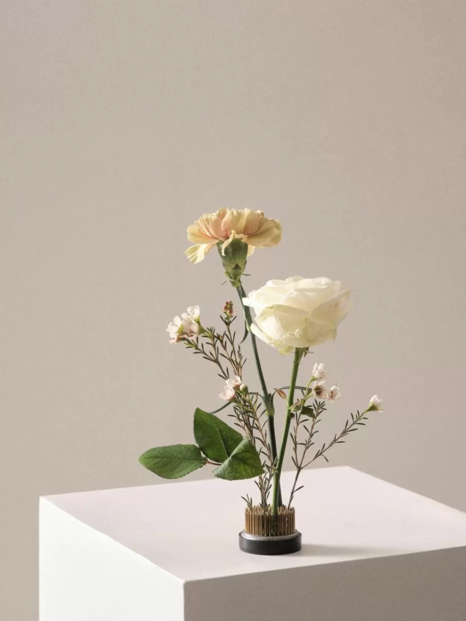Blumentöpfe-Jotex Blumensteckigel Fiore, Ø 5 cm