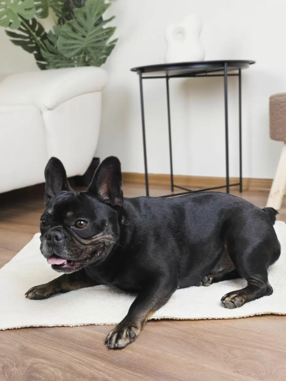 Haustierbedarf-Dandy Dog Bouclé-Hundedecke Balance, in verschiedenen Größen