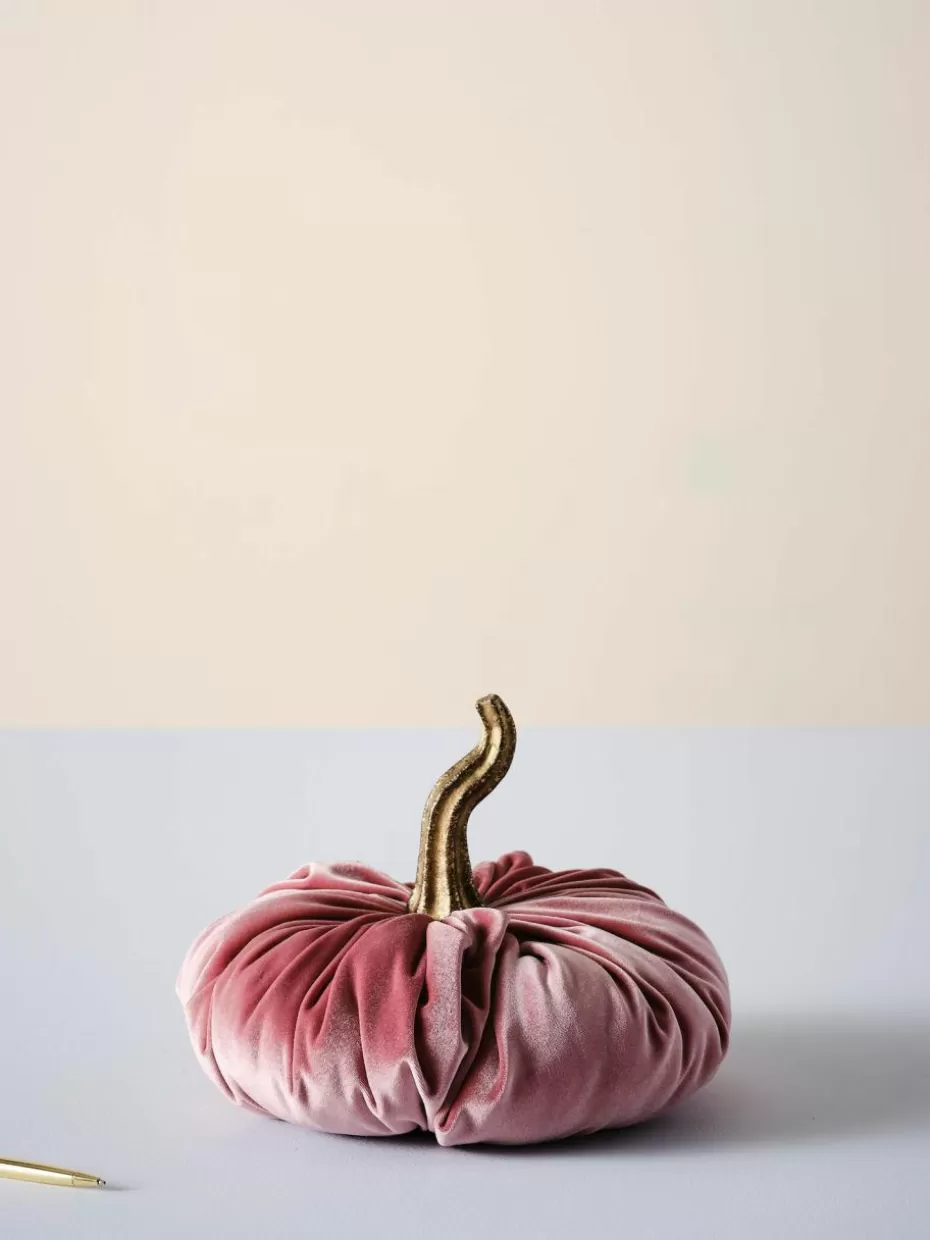 Deko-Objekte-Jotex Deko-Kürbis Pumpis, Ø 19 cm