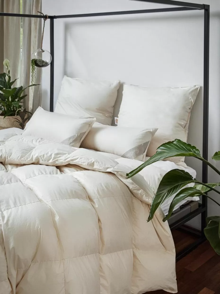 Kopfkissen-Westwing Collection Feder-Kopfkissen Comfort mit Bio-Daunen und Bio-Baumwolle, weich