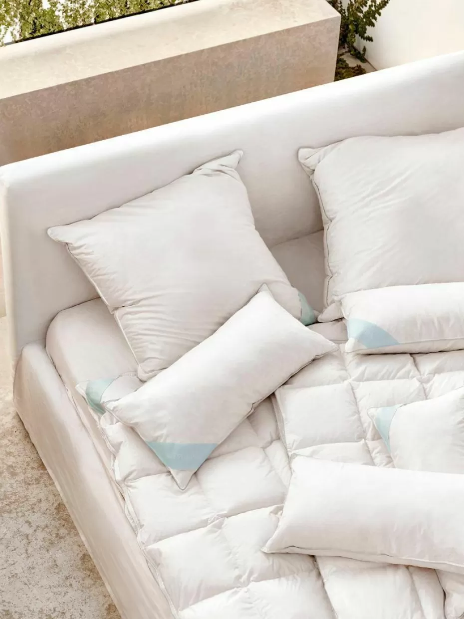 Kopfkissen-Westwing Collection Feder-Kopfkissen Comfort, Weich