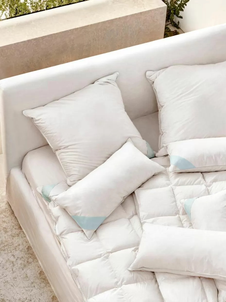 Kopfkissen-Westwing Collection Feder-Kopfkissen Comfort, Weich
