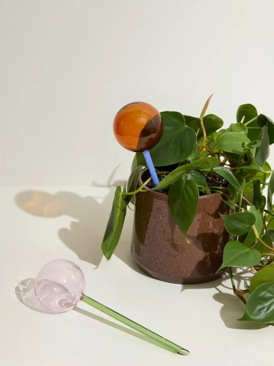 Blumentöpfe-Hübsch Handgefertigter Bewässerungsball Flora