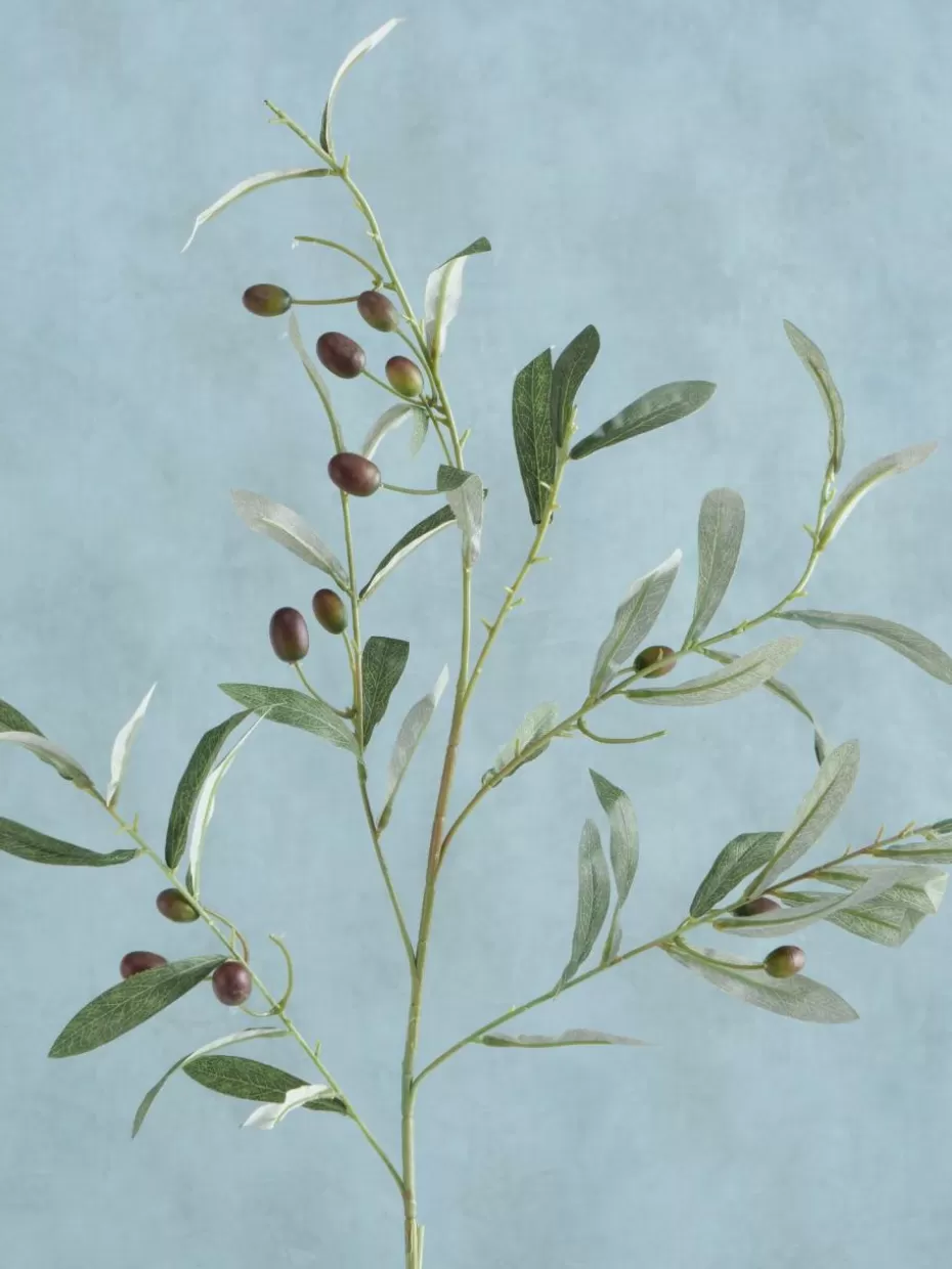 Trockenblumen & Kunstblumen-Westwing Handgefertigter Dekozweig Olive Garden
