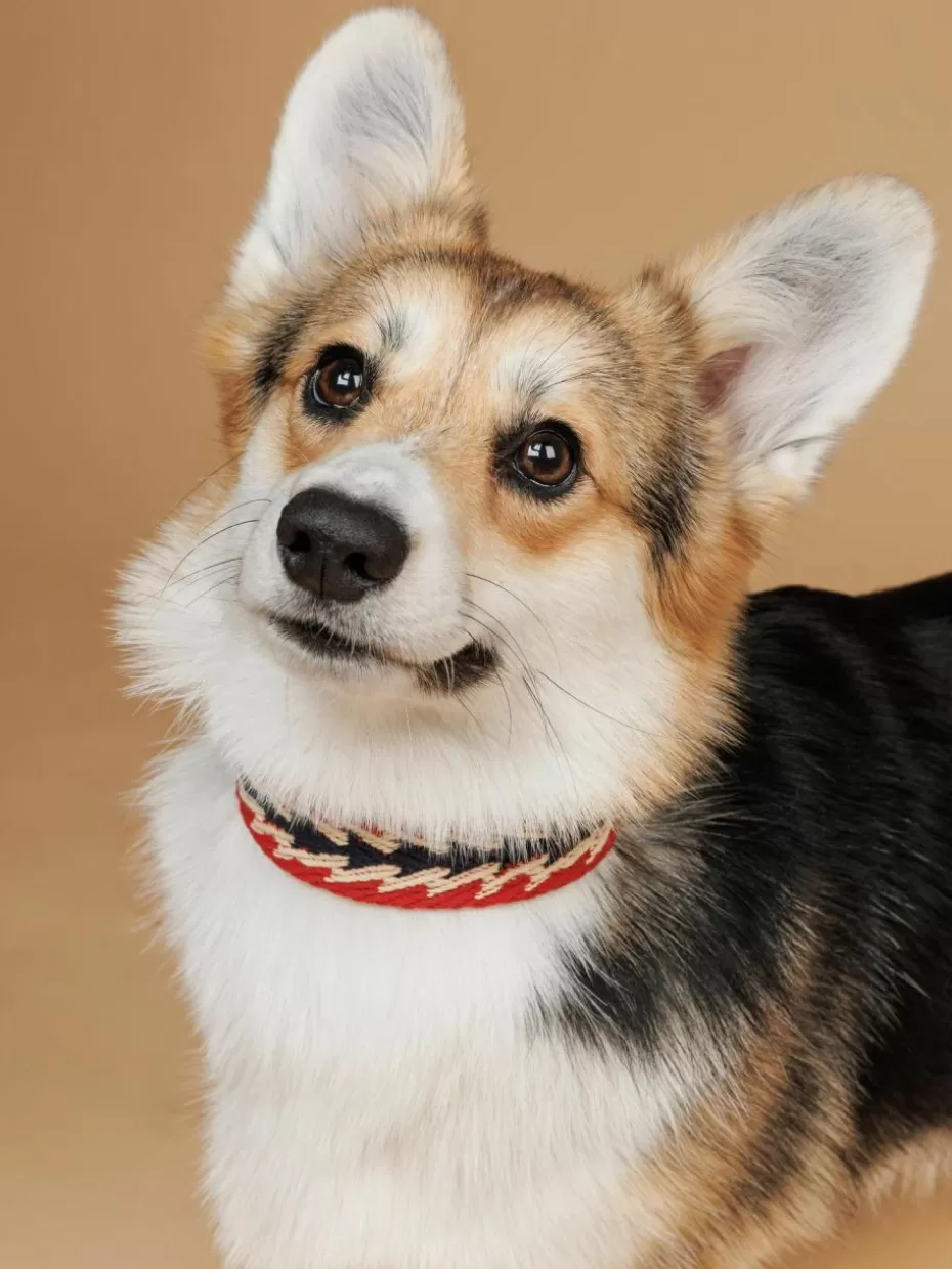 Haustierbedarf-Buddys Dogwear Handgefertigtes Haustier-Halsband Peruvian Arrow, in verschiedenen Größen
