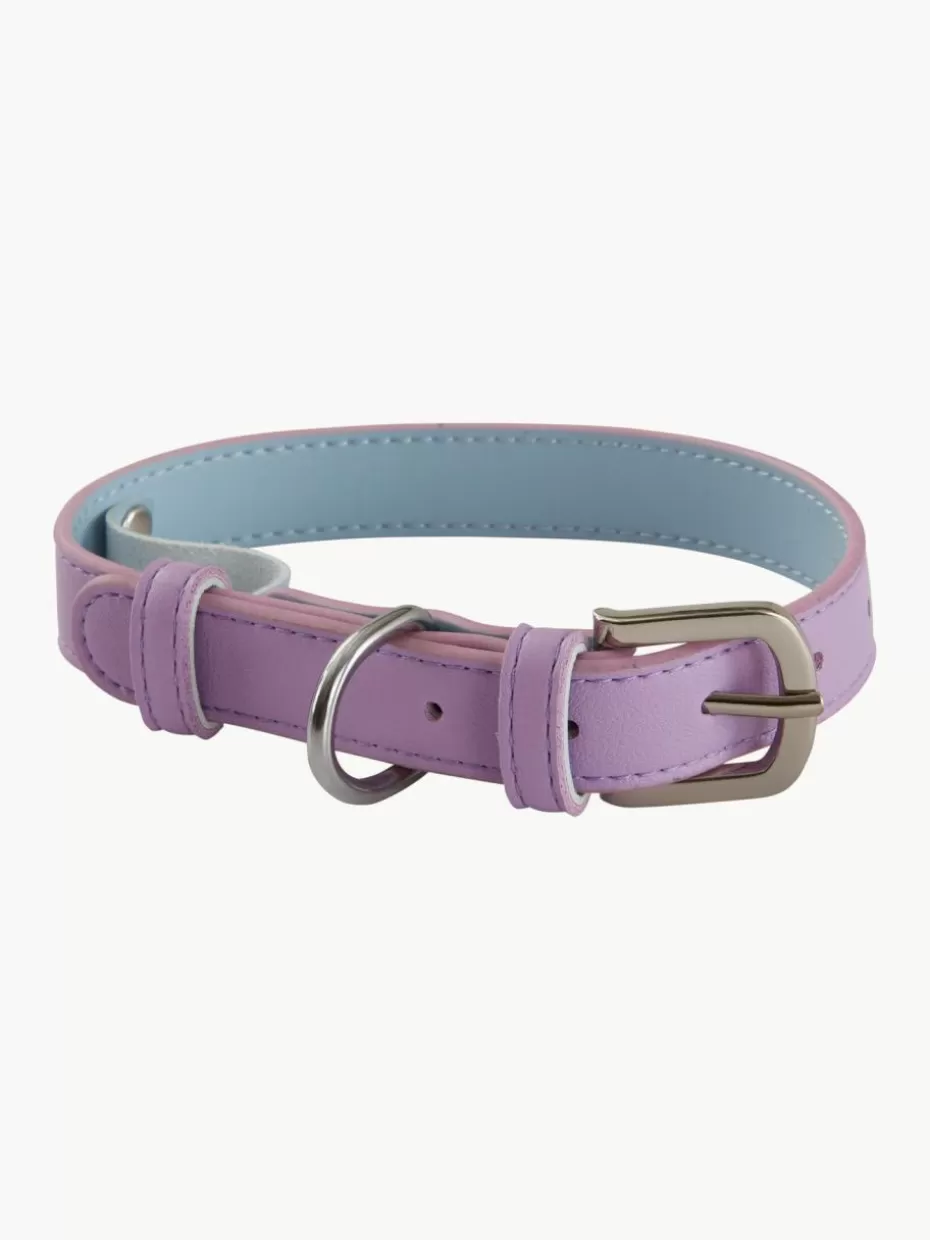 Haustierbedarf-Jotex Haustier-Halsband Inu