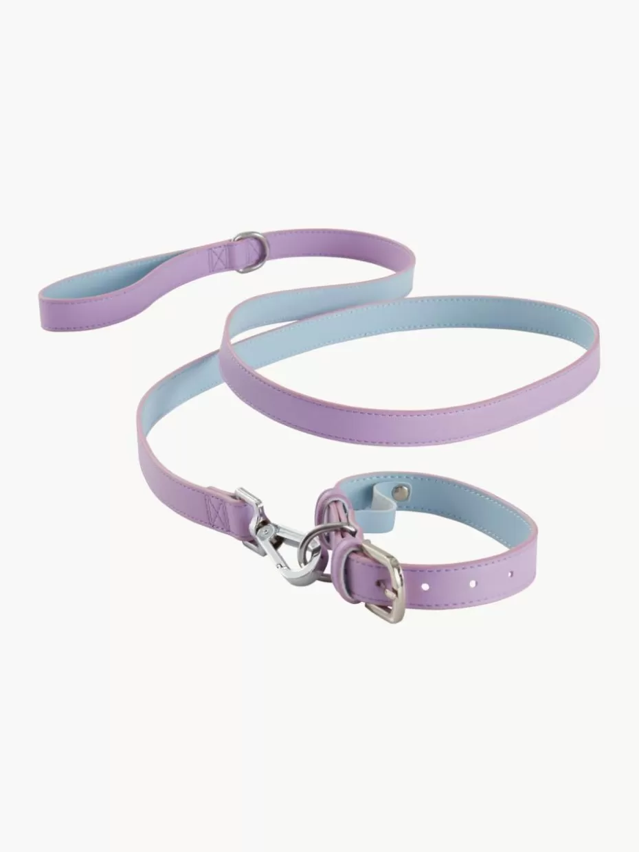 Haustierbedarf-Jotex Haustier-Halsband Inu