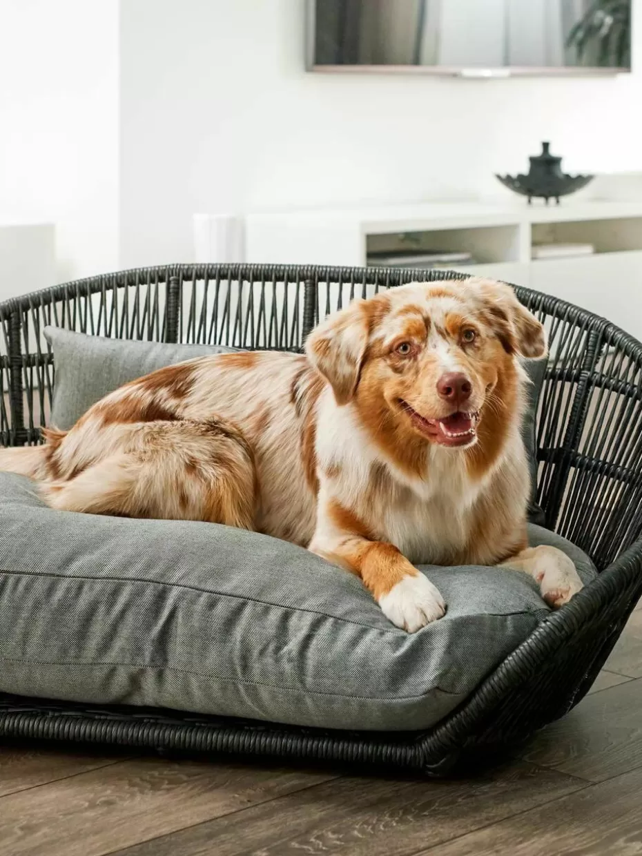 Haustierbedarf-Laboni In- & Outdoor-Hundebett Prado Grau, Anthrazit