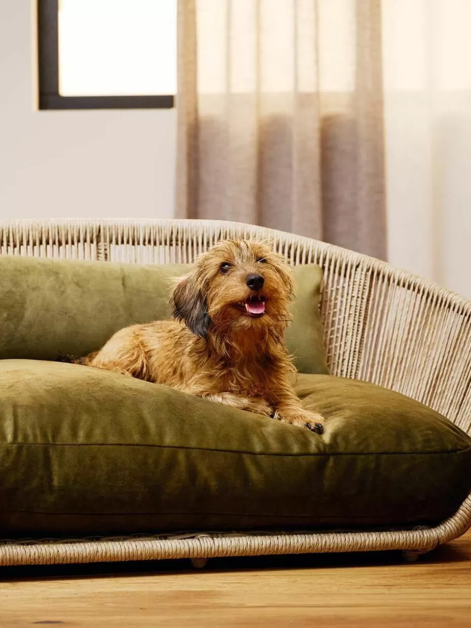 Haustierbedarf-Laboni In- & Outdoor-Hundebett Vogue Olivgrün, Beige