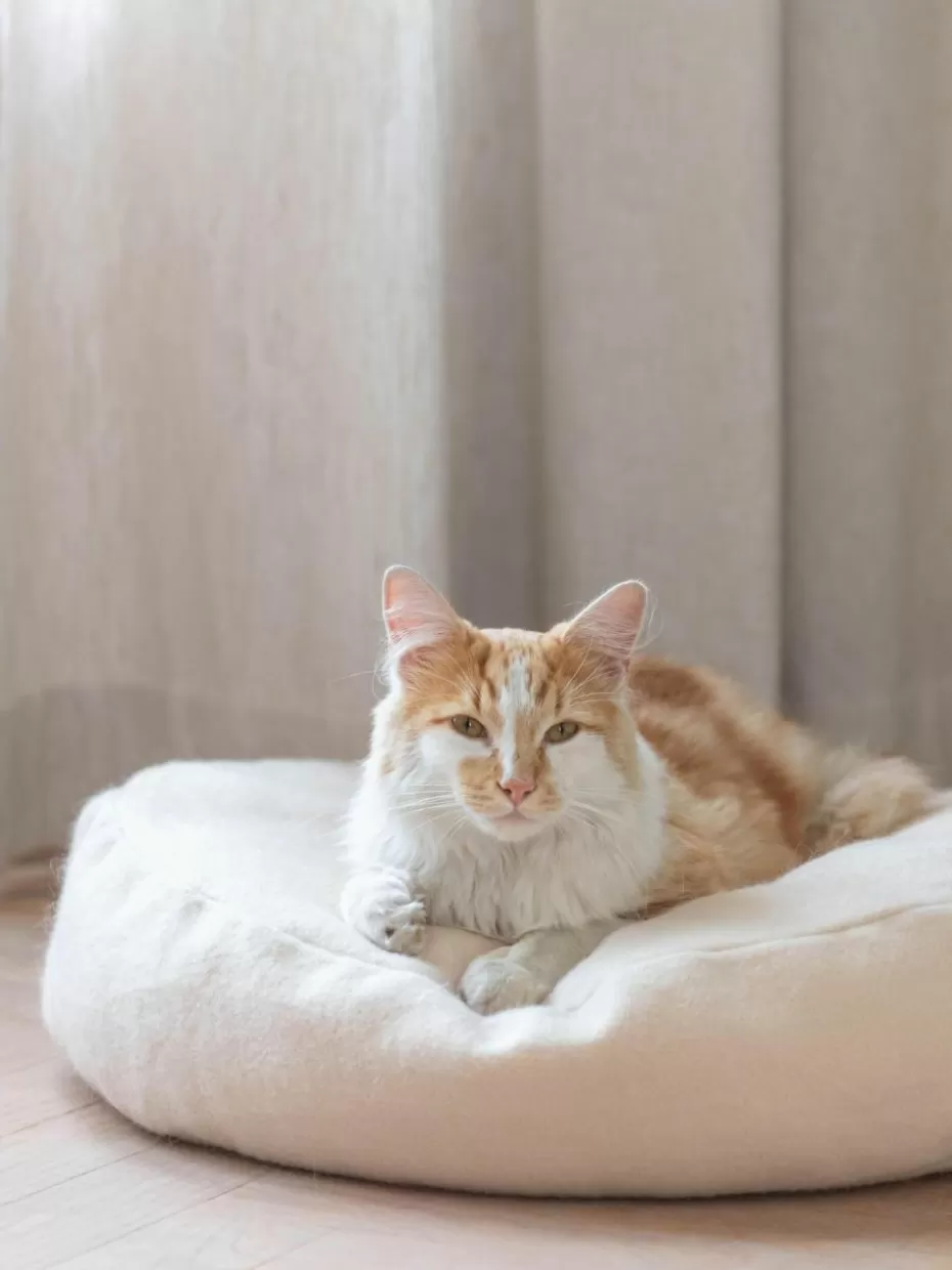 Haustierbedarf-Hoopo Katzenbett Donut Hellbeige