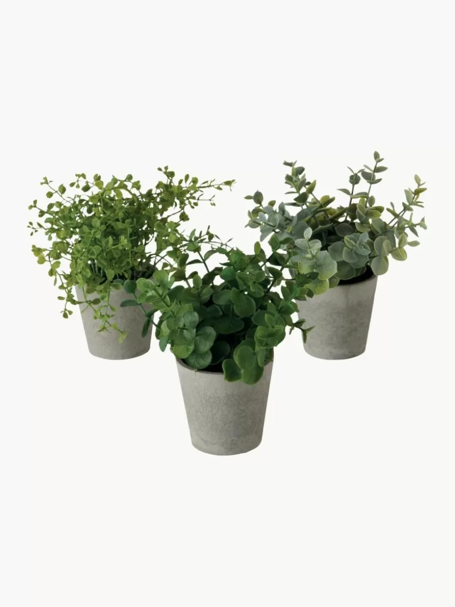 Trockenblumen & Kunstblumen-Westwing Künstliche Topfpflanzen Timothy, 3er-Set