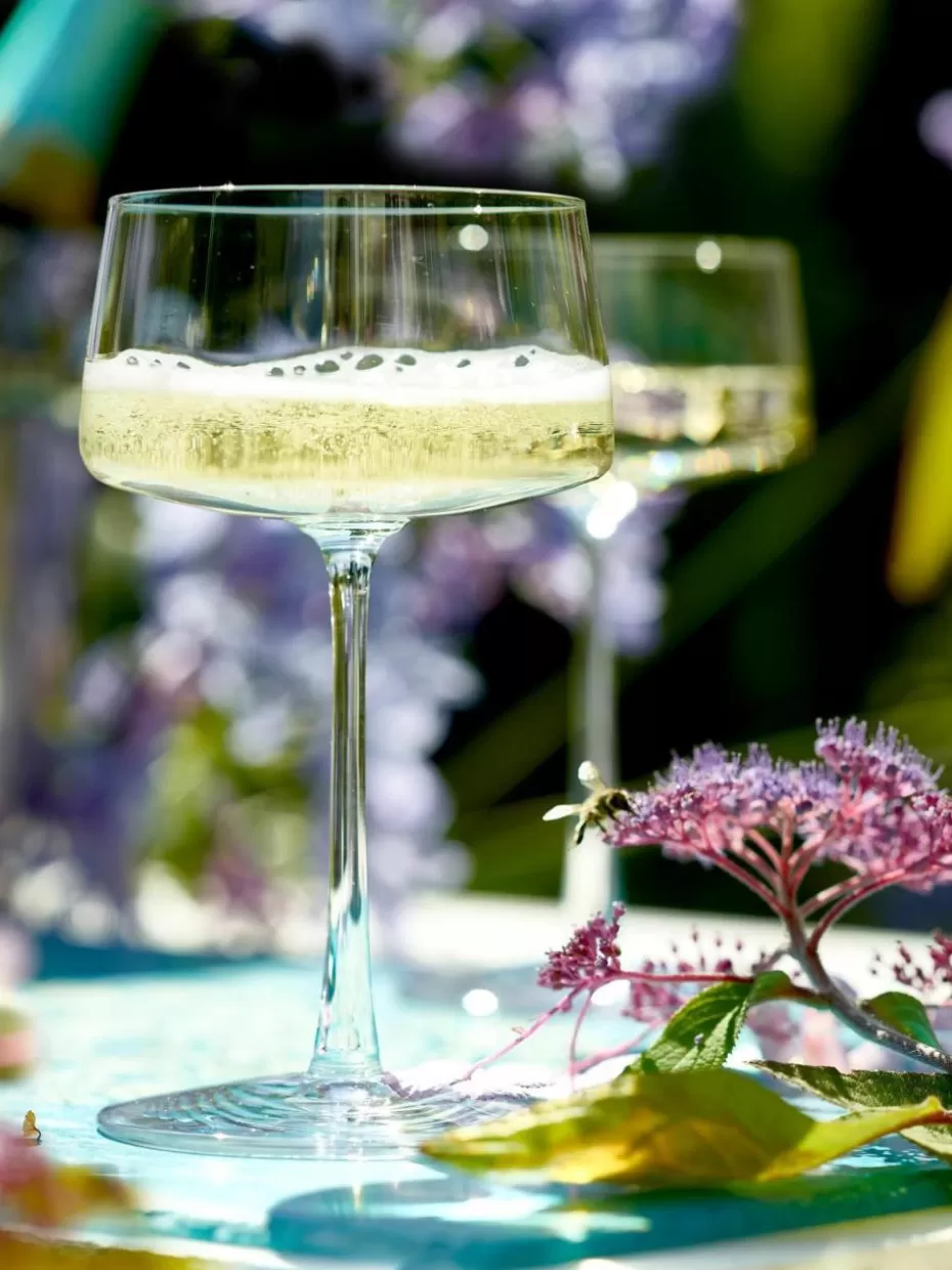 Champagner- & Sektgläser-Stölzle Lausitz Kristall-Champagnerschalen Power, 6 Stück