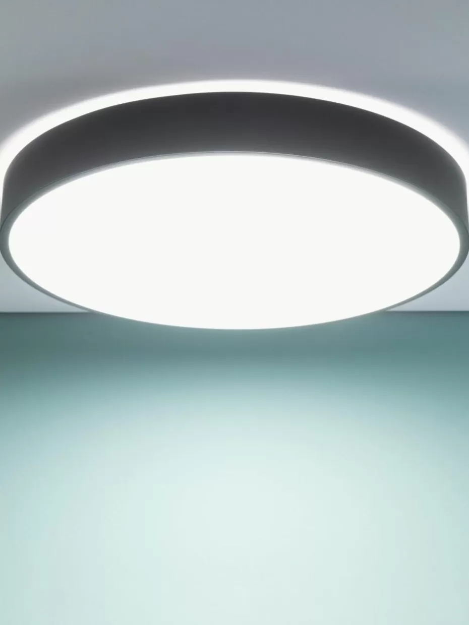 Led-Deckenleuchten-Westwing LED-Deckenleuchte Slimline mit Diffusorscheibe Schwarz, Weiß