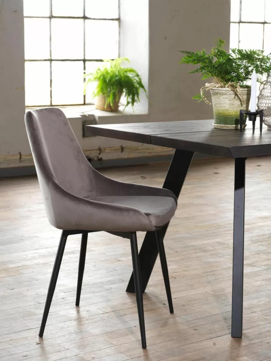 Stühle-Rowico Samt-Polsterstühle Sierra, 2 Stück Samt Grau, Schwarz