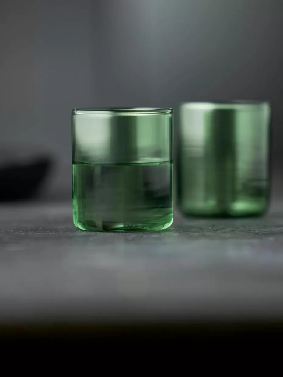 Bargläser-Lyngby Schnapsgläser Torino aus Borosilikatglas, 2 Stück Grün, transparent