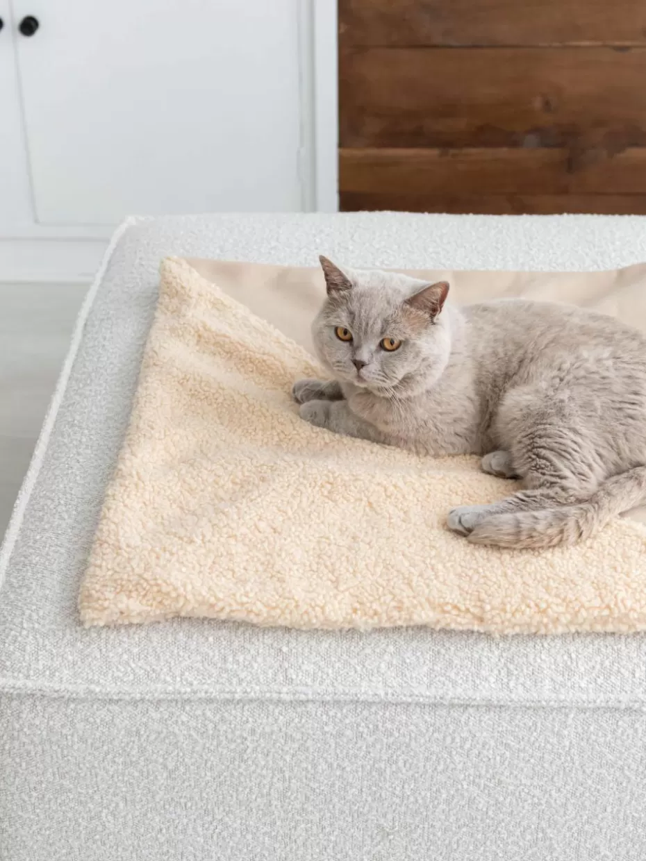 Haustierbedarf-Hoopo Teddy-Katzendecke Tri Beige